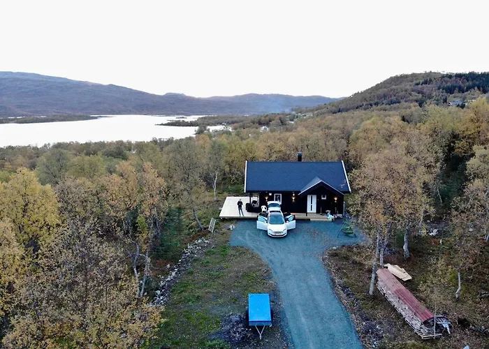 Karistua
